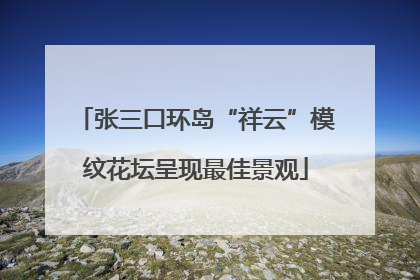 张三口环岛“祥云”模纹花坛呈现最佳景观