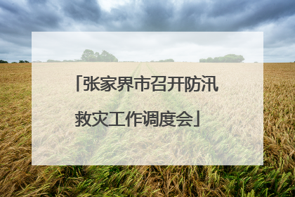 张家界市召开防汛救灾工作调度会