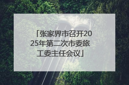 张家界市召开2025年第二次市委旅工委主任会议