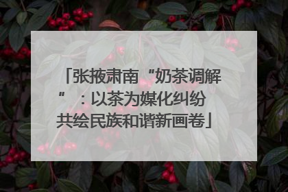 张掖肃南“奶茶调解”：以茶为媒化纠纷 共绘民族和谐新画卷