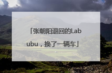 张朝阳退回的Labubu，换了一辆车