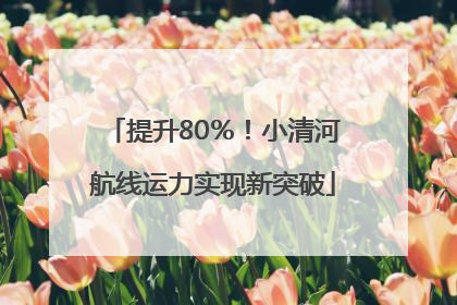 提升80％！小清河航线运力实现新突破