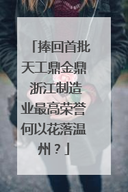 捧回首批天工鼎金鼎 浙江制造业最高荣誉何以花落温州？