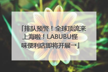 排队预警！全球顶流来上海啦！LABUBU怪味便利店即将开展→