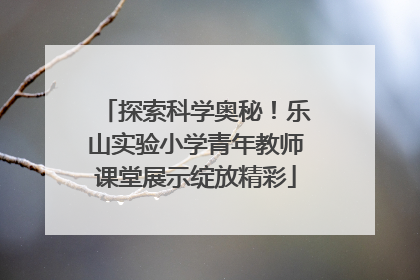 探索科学奥秘！乐山实验小学青年教师课堂展示绽放精彩
