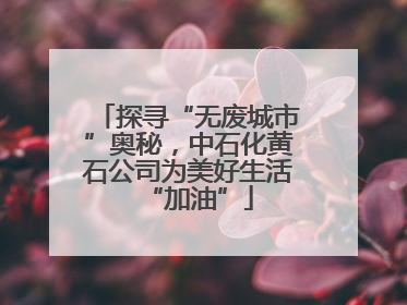探寻“无废城市”奥秘，中石化黄石公司为美好生活“加油”