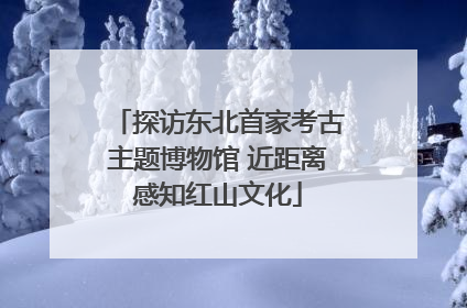 探访东北首家考古主题博物馆 近距离感知红山文化