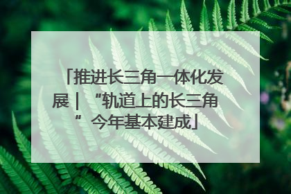 推进长三角一体化发展｜“轨道上的长三角”今年基本建成