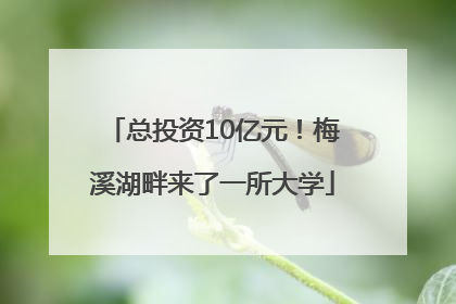 总投资10亿元！梅溪湖畔来了一所大学