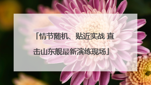 情节随机、贴近实战 直击山东舰最新演练现场