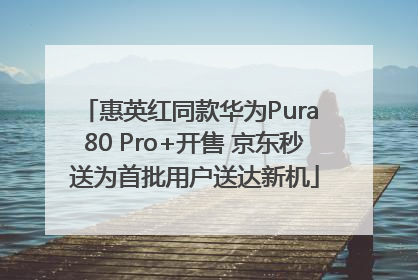 惠英红同款华为Pura 80 Pro+开售 京东秒送为首批用户送达新机