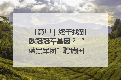 意甲｜终于找到欧冠冠军基因？“蓝黑军团”聘请国米名宿齐沃执教