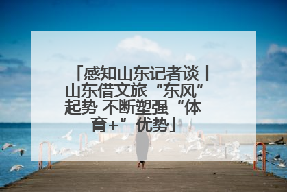 感知山东记者谈丨山东借文旅“东风”起势 不断塑强“体育+”优势