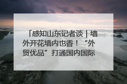 感知山东记者谈｜墙外开花墙内也香！“外贸优品”打通国内国际市场“旋转门”