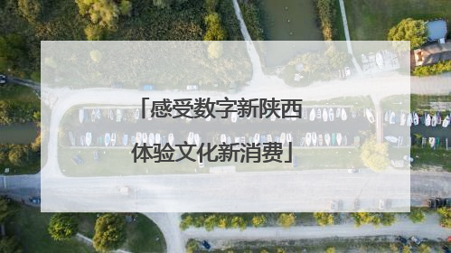 感受数字新陕西 体验文化新消费
