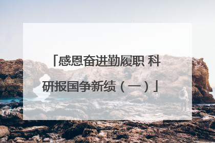 感恩奋进勤履职 科研报国争新绩（一）