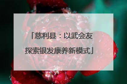 慈利县：以武会友 探索银发康养新模式