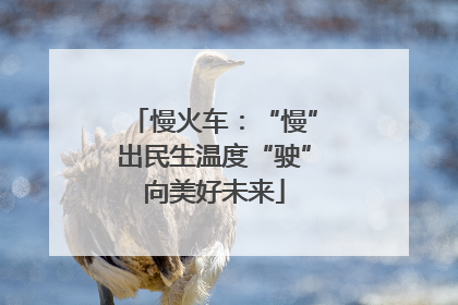 慢火车：“慢”出民生温度“驶”向美好未来