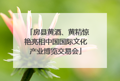 房县黄酒、黄精惊艳亮相中国国际文化产业博览交易会
