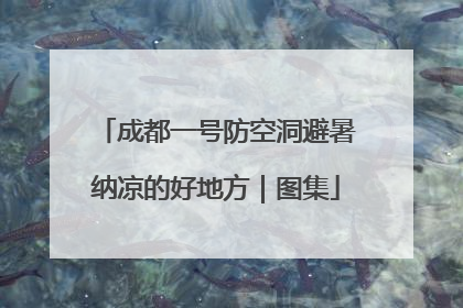 成都一号防空洞避暑纳凉的好地方｜图集