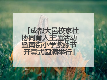 成都大邑校家社协同育人主题活动暨南街小学紫藤节开幕式圆满举行