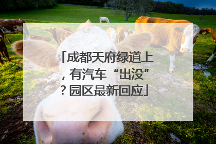 成都天府绿道上，有汽车“出没”？园区最新回应