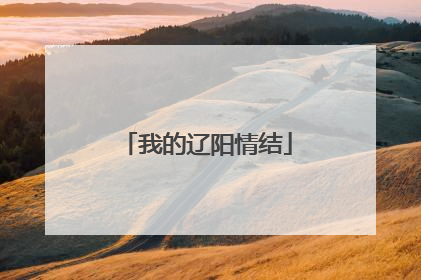 我的辽阳情结