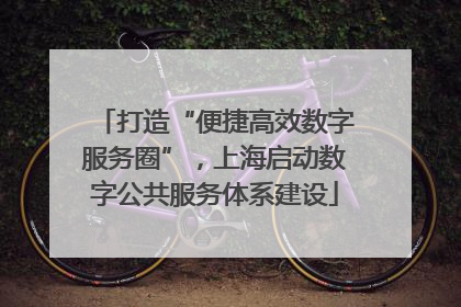 打造“便捷高效数字服务圈”，上海启动数字公共服务体系建设