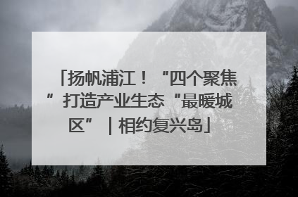 扬帆浦江！“四个聚焦”打造产业生态“最暖城区”｜相约复兴岛