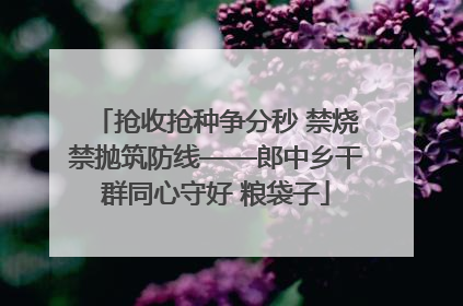 抢收抢种争分秒 禁烧禁抛筑防线——郎中乡干群同心守好 粮袋子
