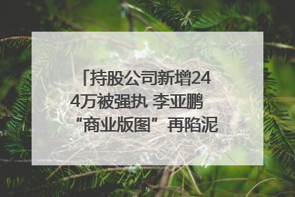 持股公司新增244万被强执 李亚鹏“商业版图”再陷泥潭？｜科技观察