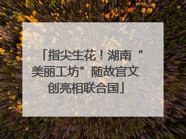 指尖生花！湖南“美丽工坊”随故宫文创亮相联合国