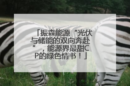 振森能源“光伏与储能的双向奔赴”，能源界最甜CP的绿色情书！