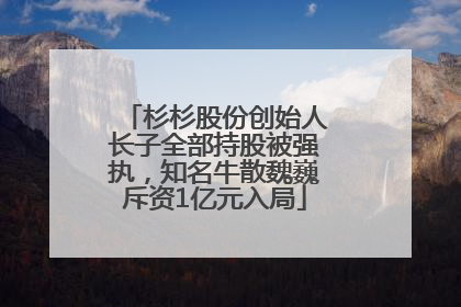 杉杉股份创始人长子全部持股被强执，知名牛散魏巍斥资1亿元入局