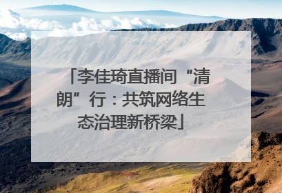 李佳琦直播间“清朗”行：共筑网络生态治理新桥梁