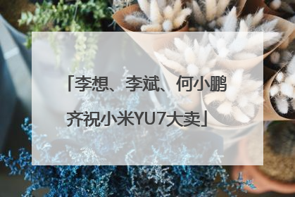 李想、李斌、何小鹏齐祝小米YU7大卖