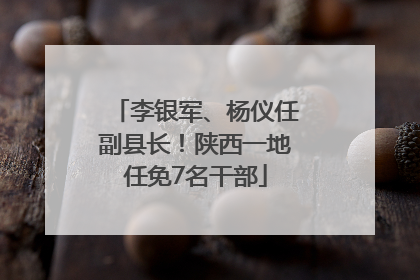 李银军、杨仪任副县长！陕西一地任免7名干部