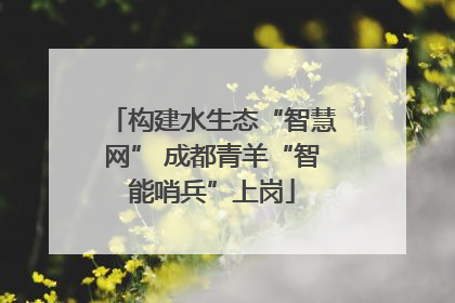 构建水生态“智慧网” 成都青羊“智能哨兵”上岗
