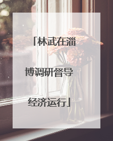 林武在淄博调研督导经济运行