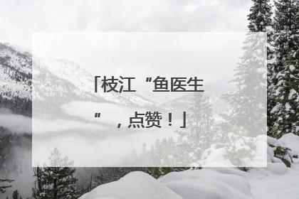 枝江“鱼医生”，点赞！