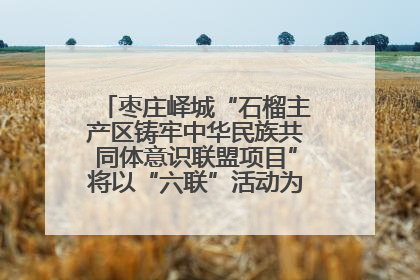 枣庄峄城“石榴主产区铸牢中华民族共同体意识联盟项目”将以“六联”活动为抓手深化品牌建设
