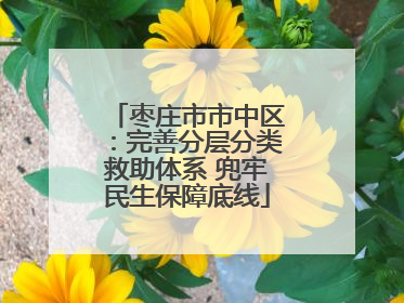 枣庄市市中区：完善分层分类救助体系 兜牢民生保障底线