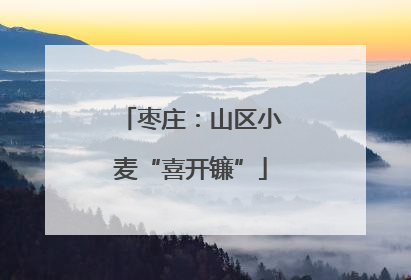 枣庄：山区小麦“喜开镰”