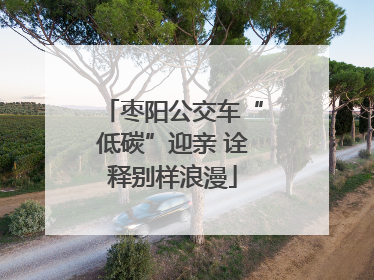 枣阳公交车“低碳”迎亲 诠释别样浪漫