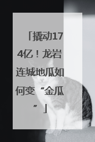 撬动174亿！龙岩连城地瓜如何变“金瓜”