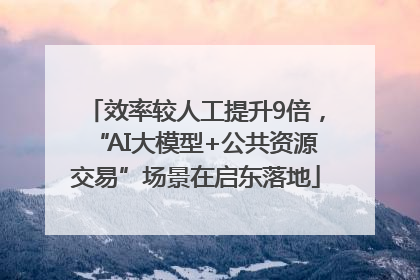 效率较人工提升9倍，“AI大模型+公共资源交易”场景在启东落地