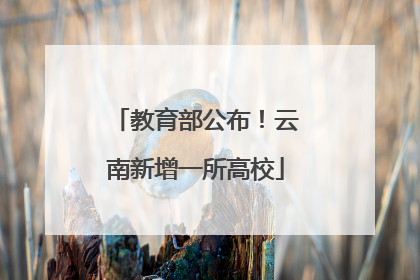 教育部公布！云南新增一所高校