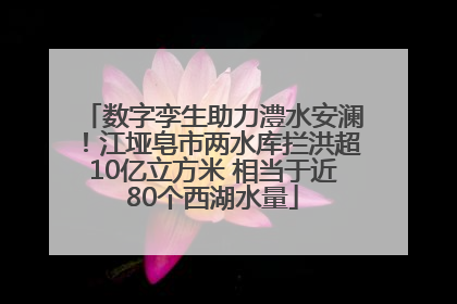数字孪生助力澧水安澜！江垭皂市两水库拦洪超10亿立方米 相当于近80个西湖水量