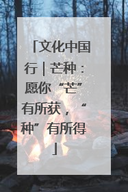 文化中国行｜芒种：愿你“芒”有所获，“种”有所得
