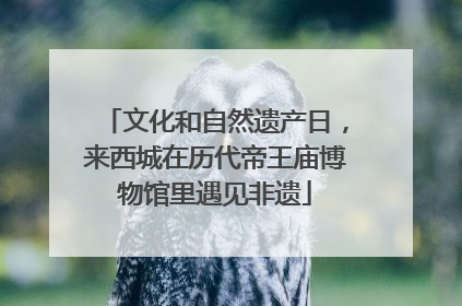 文化和自然遗产日，来西城在历代帝王庙博物馆里遇见非遗